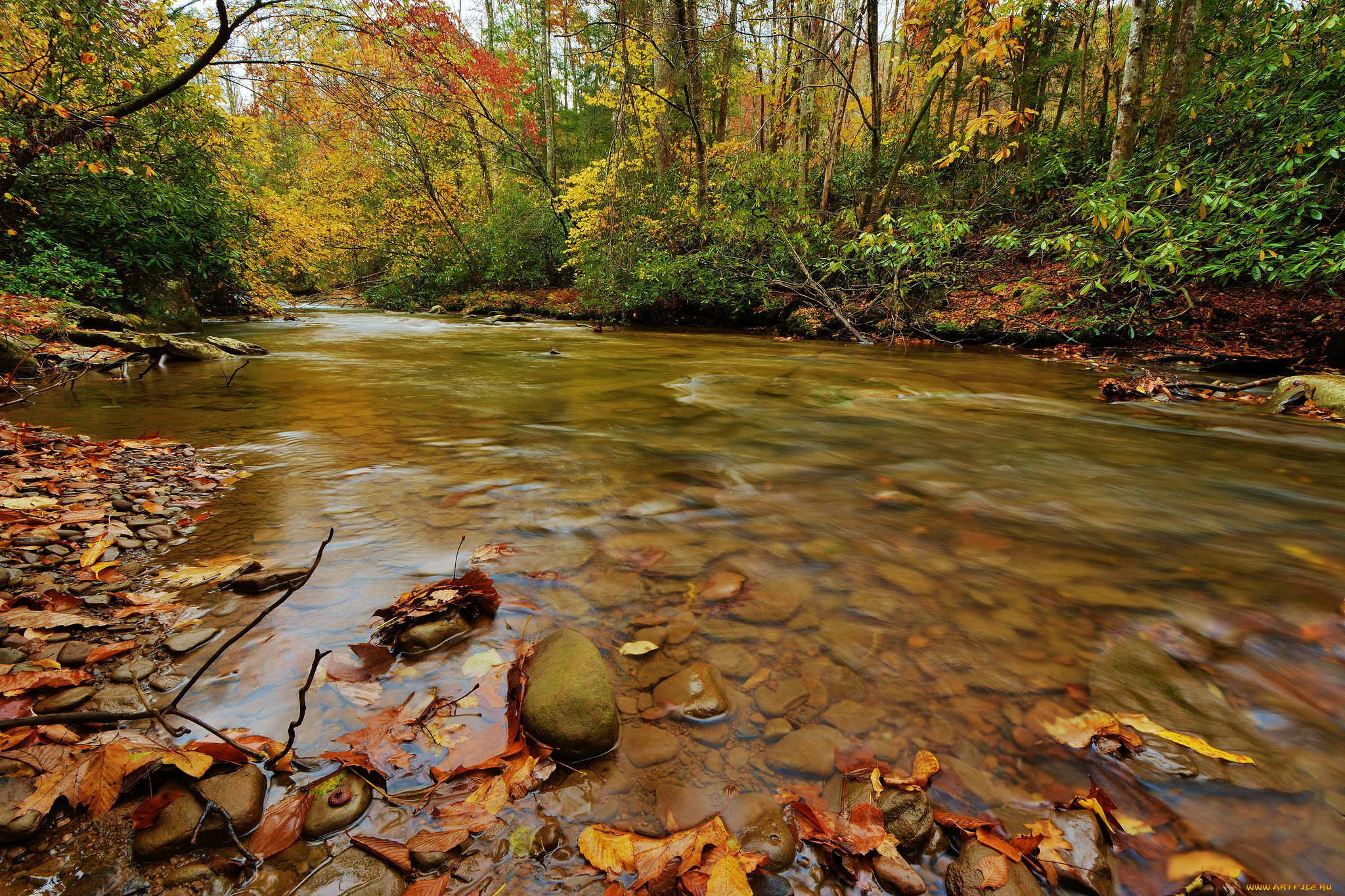 , , autumn, leaves, water, stream, waterfall, , , , 